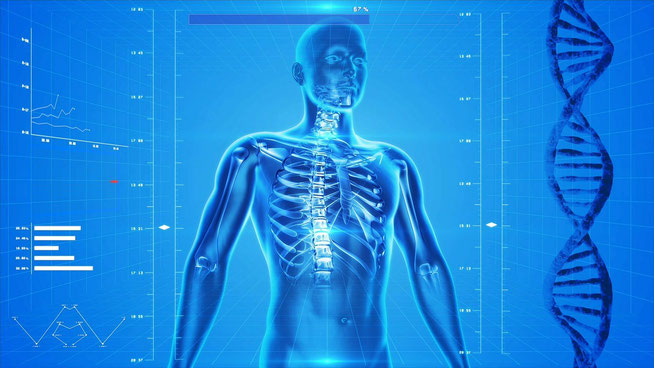 Representación digital del cuerpo humano con interfaz médica, simbolizando el uso de software en fisioterapia moderna